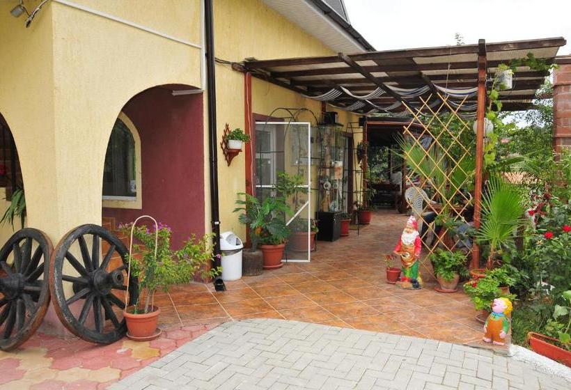 Pensiunea Delta D.m.y