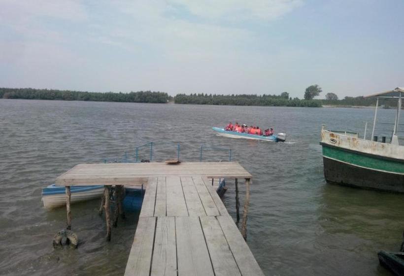 Pensiunea Delta D.m.y