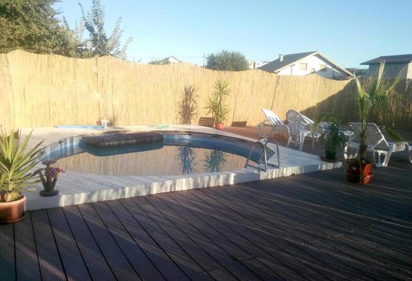 Pensiunea Delta D.m.y