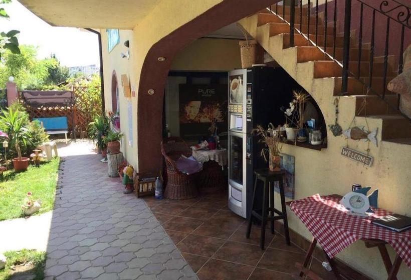 Pensiunea Delta D.m.y