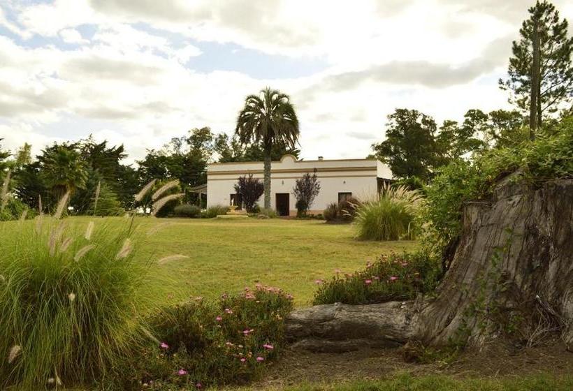 Общежитие Alquimia Posada