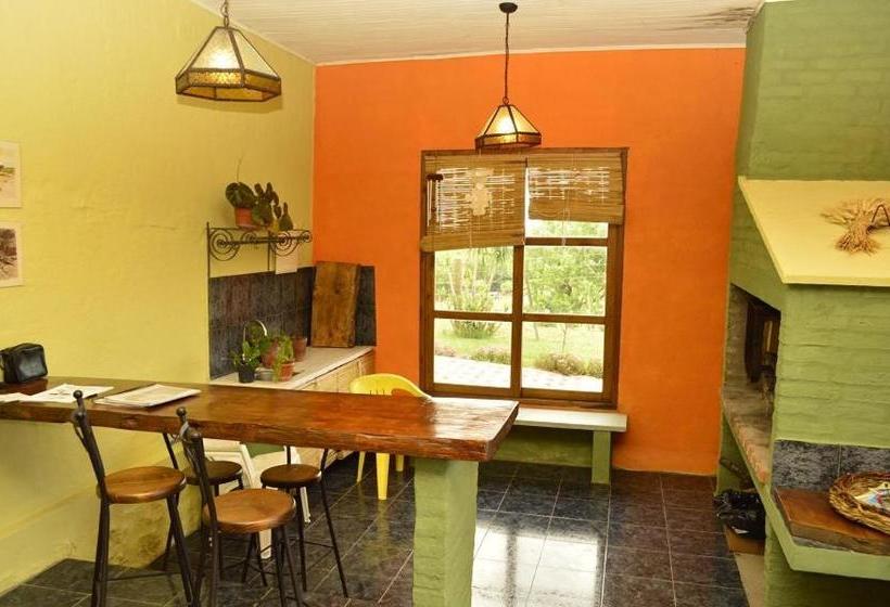 Общежитие Alquimia Posada