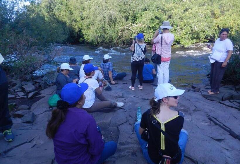 Общежитие Alquimia Posada