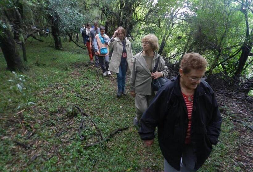 Общежитие Alquimia Posada