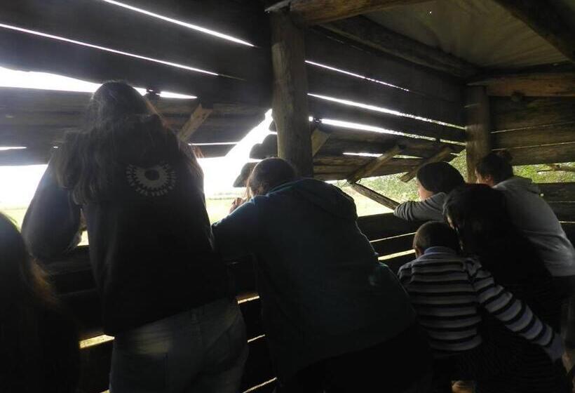 Общежитие Alquimia Posada