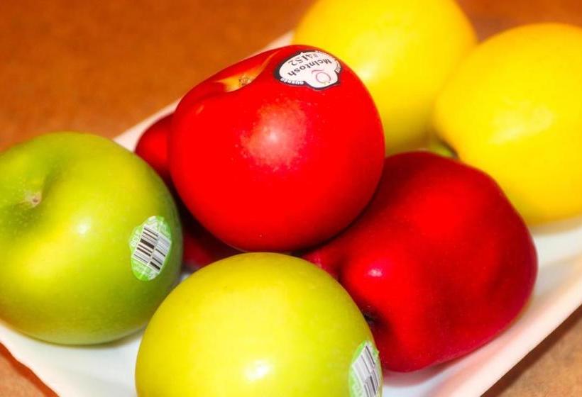 Общежитие Auberge Motel 4 Saisons