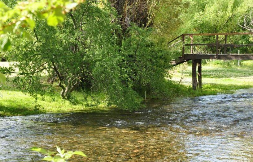 فندق صغير Hostería Chimehuin