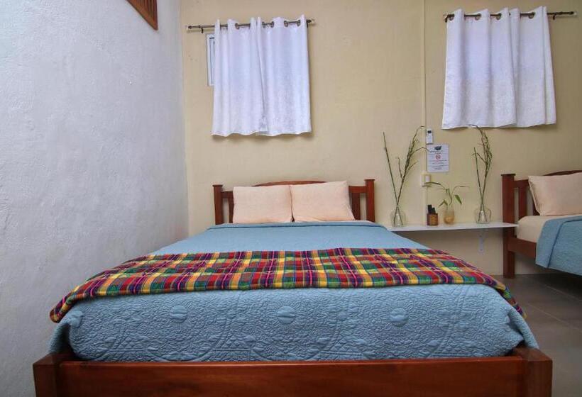 הוסטל Rainforest Haven Inn