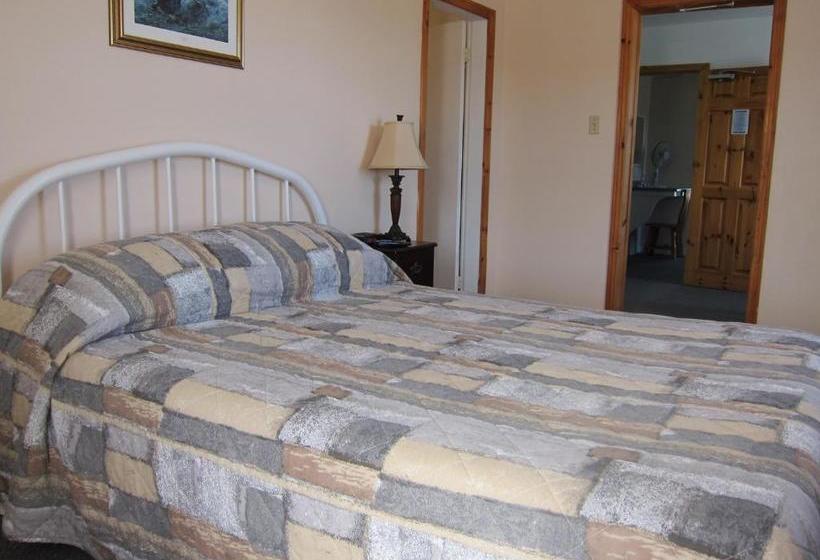 فندق صغير The Island Inn