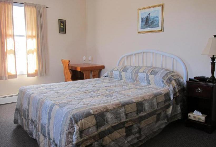 فندق صغير The Island Inn