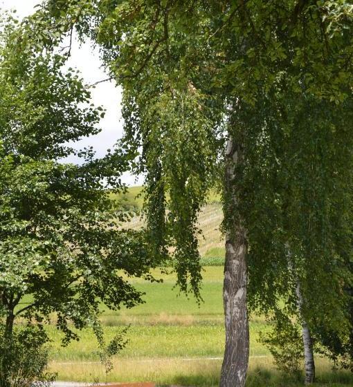 ベッドアンドブレックファースト Frühstückspension Krump