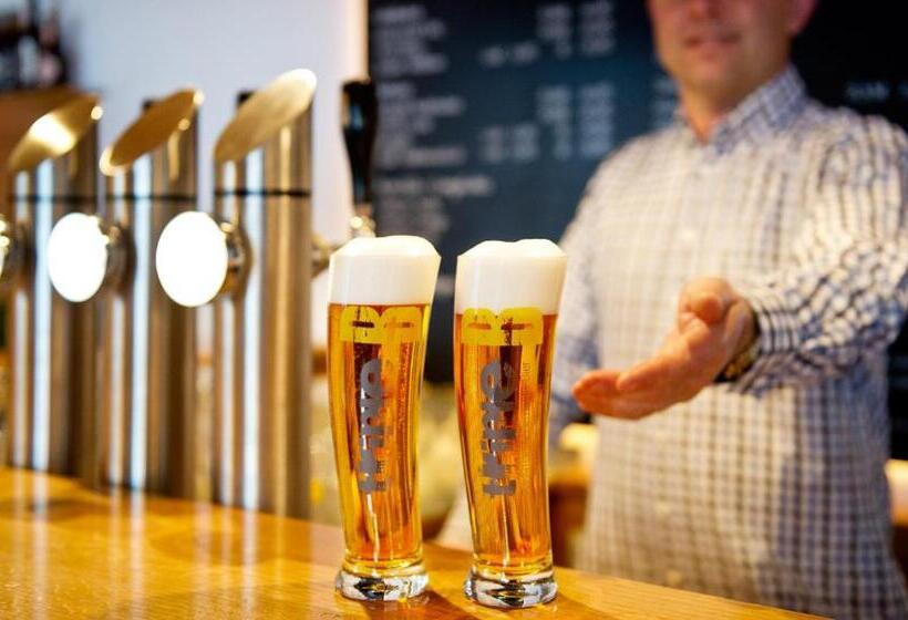 Gasthof Pension Wulfenia