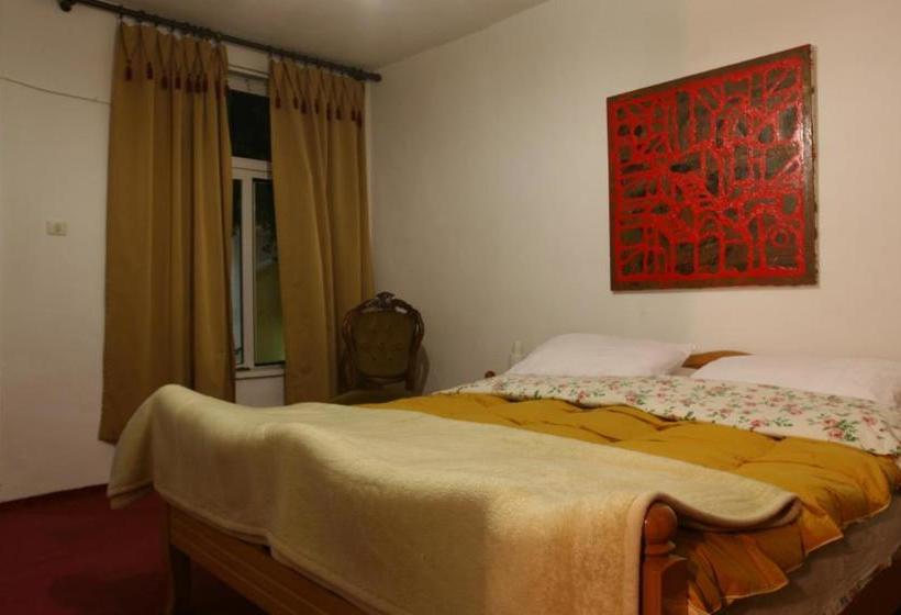 Guesthouse Pension Andrea