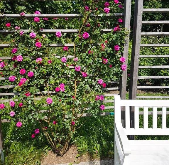 Helenental Pension & Apartments