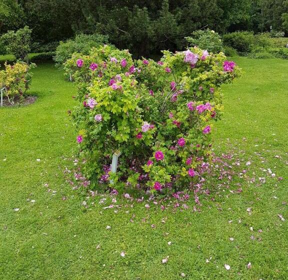 Helenental Pension & Apartments