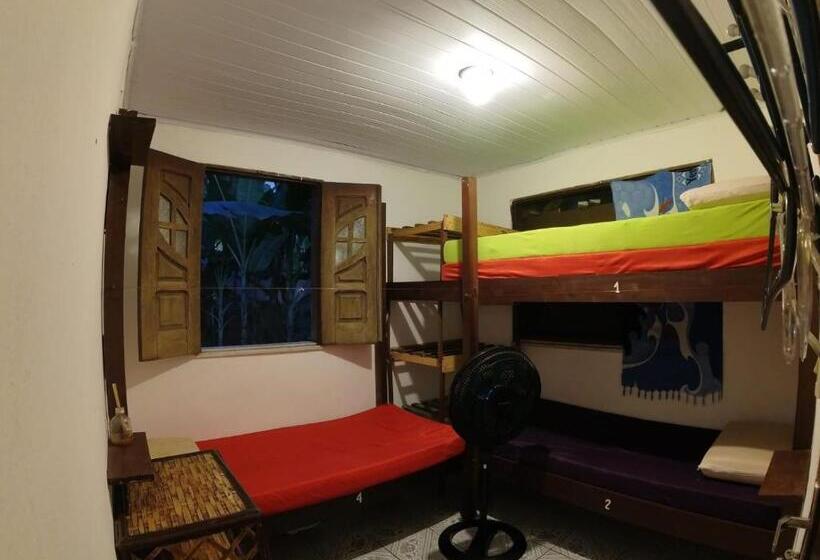 Hostel Freedive Inn