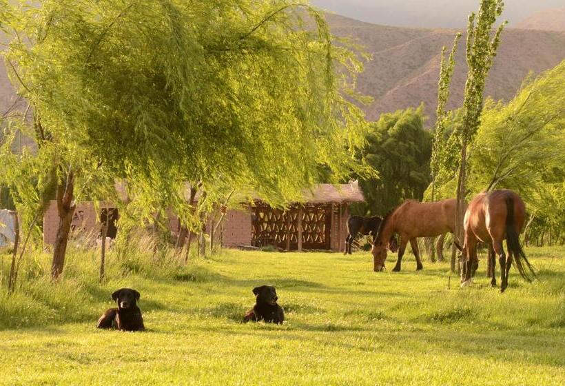 Отель Solar Del Tropico