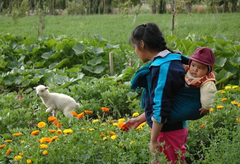 Отель Solar Del Tropico