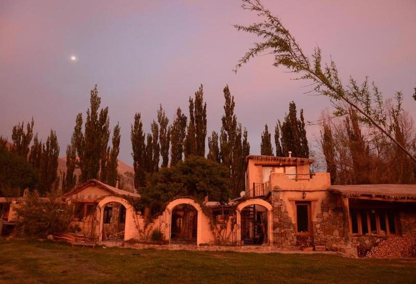 Отель Solar Del Tropico