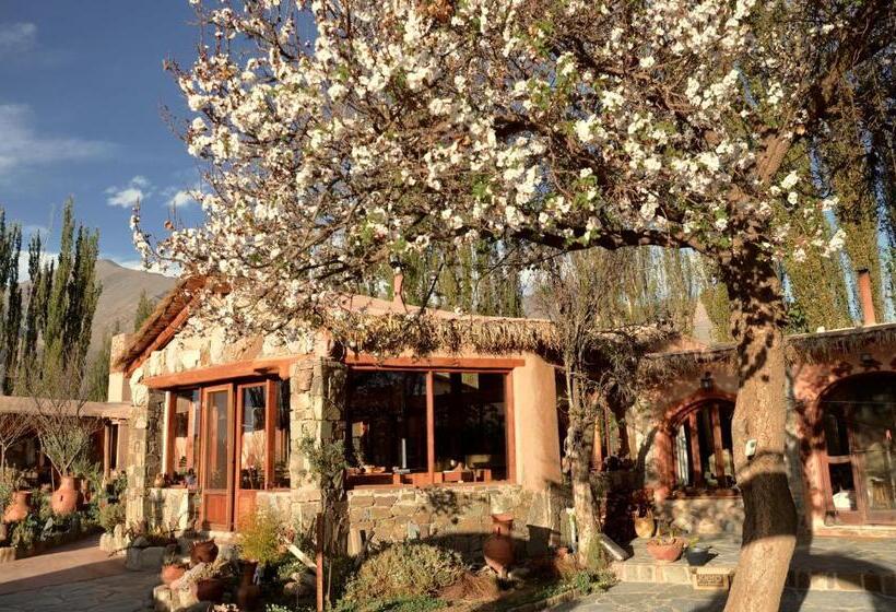 Отель Solar Del Tropico