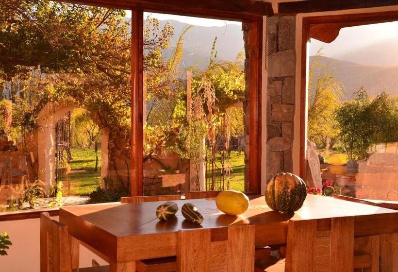 Отель Solar Del Tropico