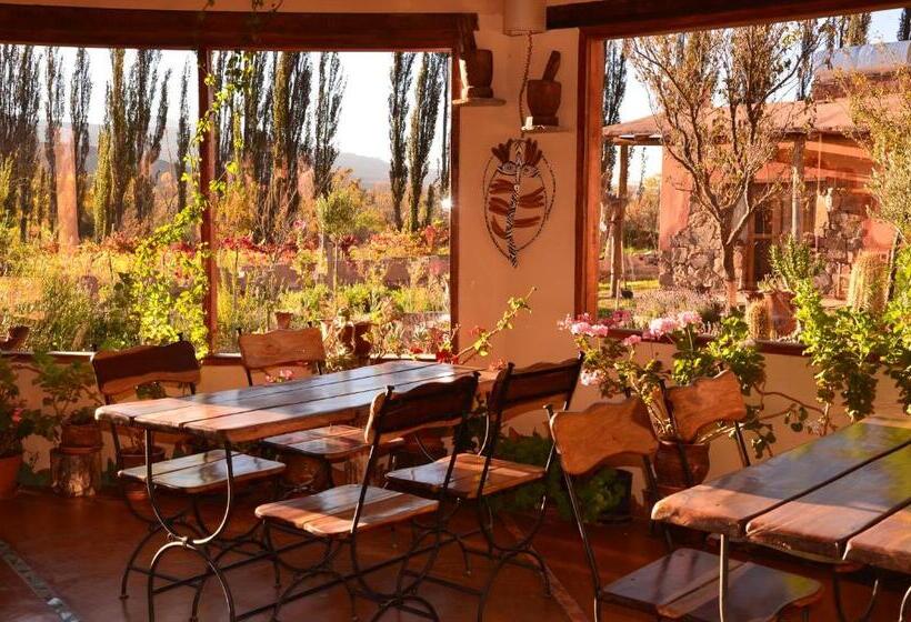 Отель Solar Del Tropico