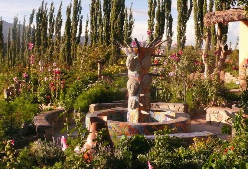 Отель Solar Del Tropico