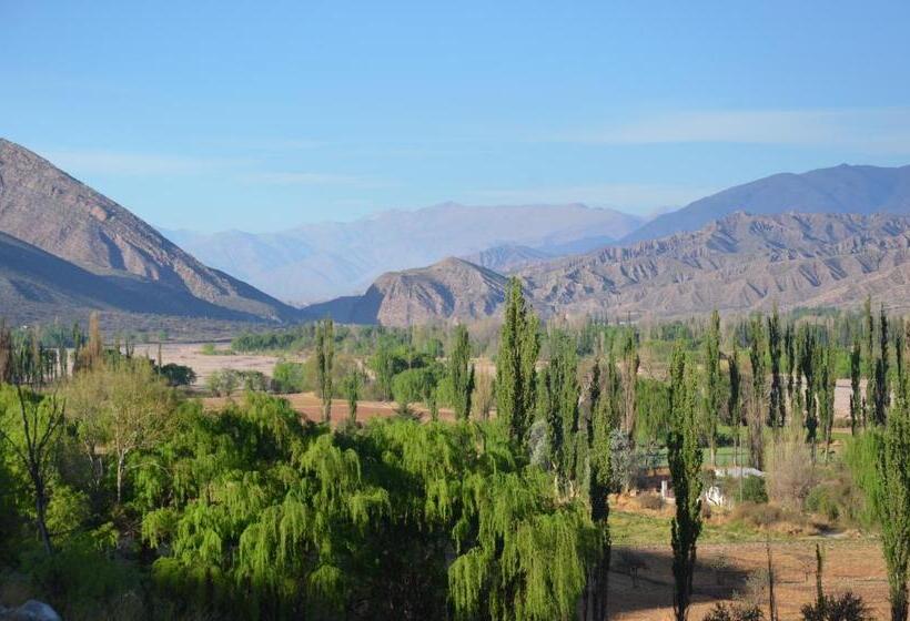 Отель Solar Del Tropico