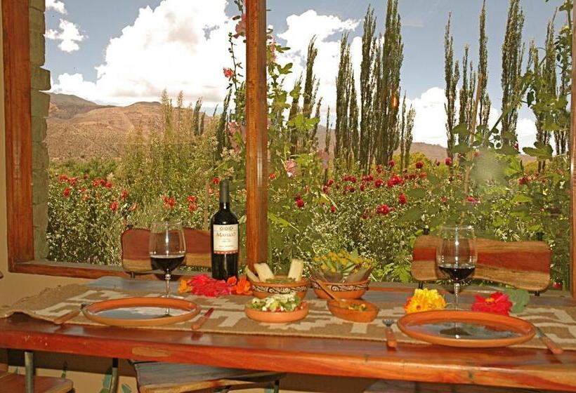 Отель Solar Del Tropico