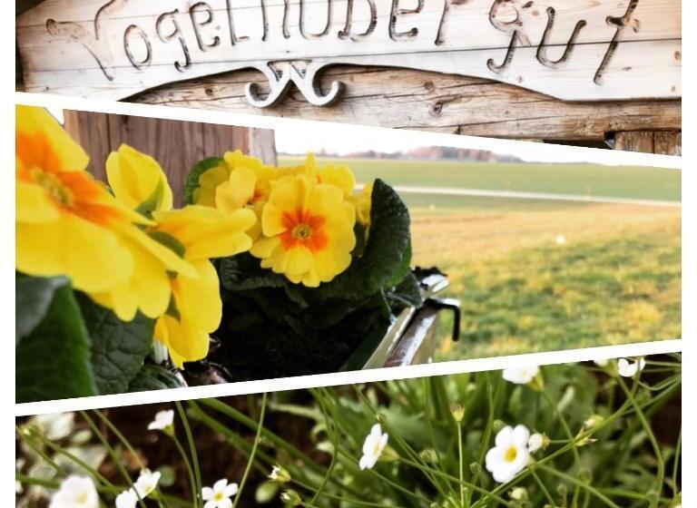 ホテル Vogelhubergut   Familie Scherleithner