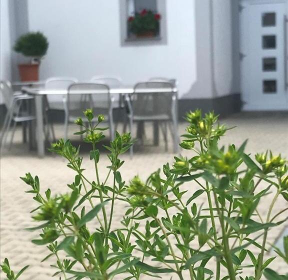 בית מלון כפרי Vogelhubergut   Familie Scherleithner