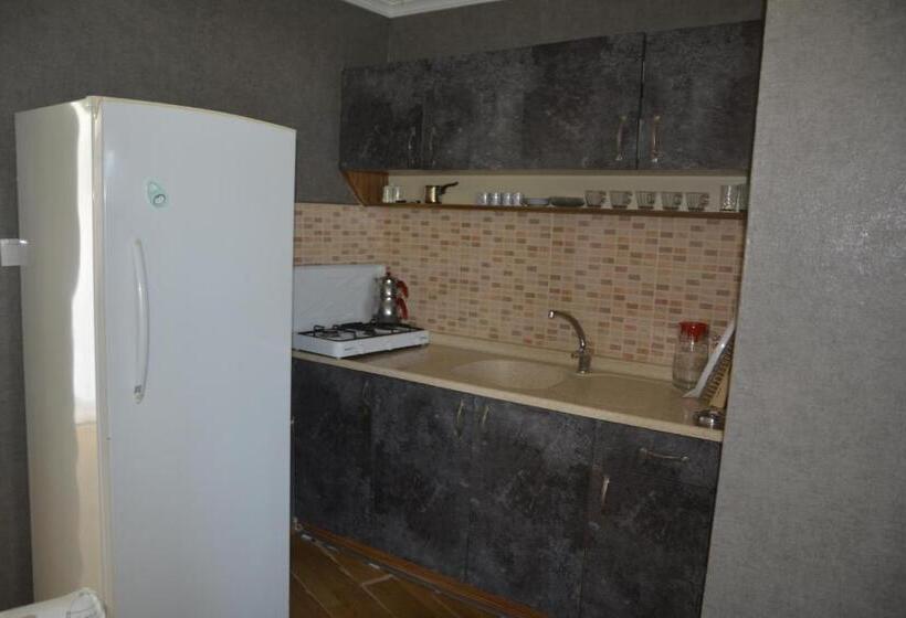 Пансион Ege Apart &