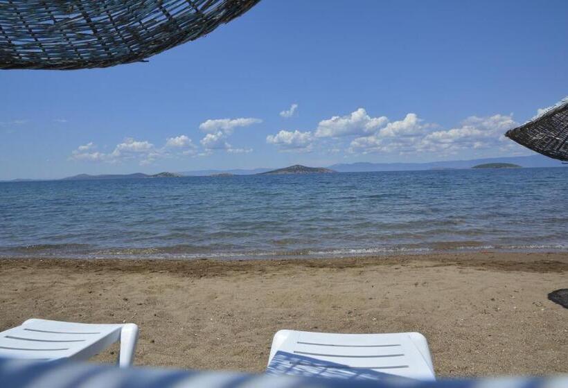 Пансион Ege Apart &