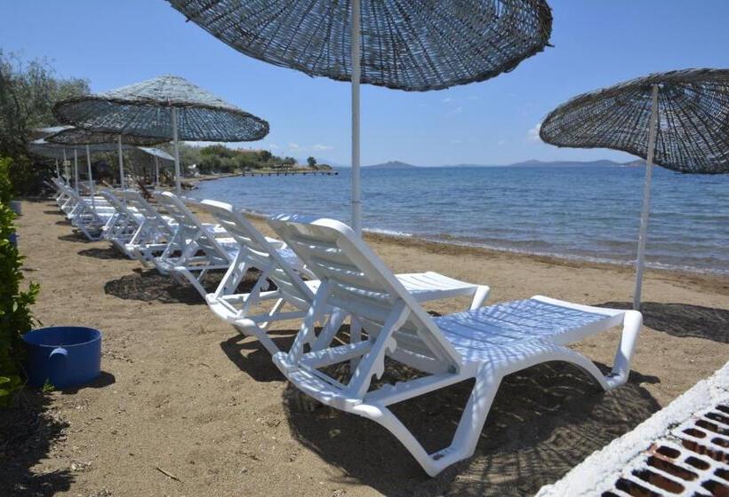 Пансион Ege Apart &