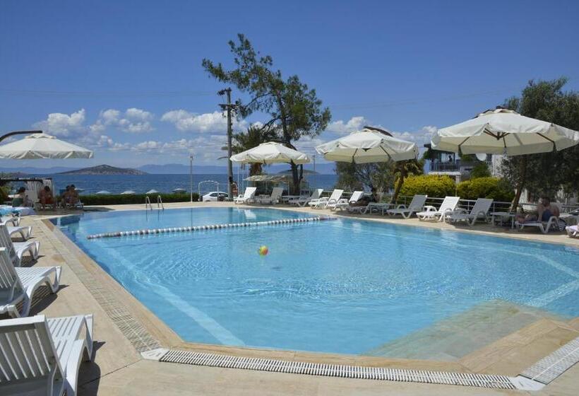 Пансион Ege Apart &