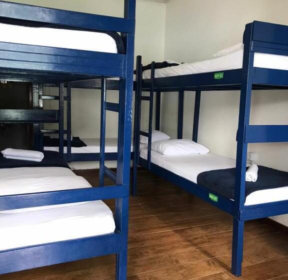 ペンション Aquario Pousada Hostel   Night Club