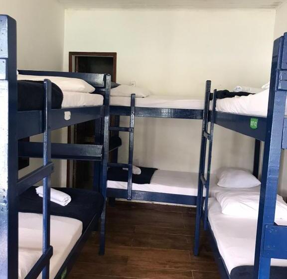 ペンション Aquario Pousada Hostel   Night Club