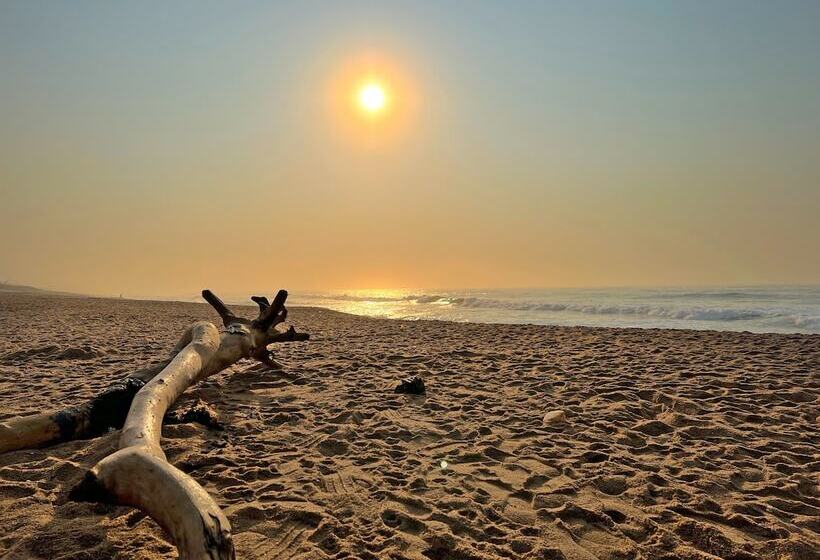 ペンション Bentley On The Beach