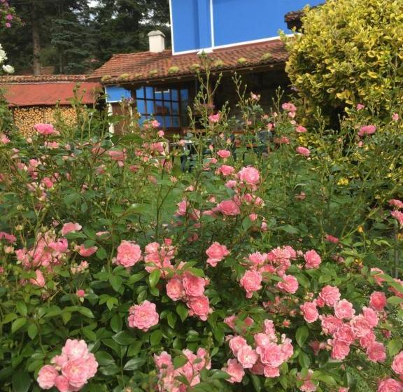 פנסיון Bobi Guest House