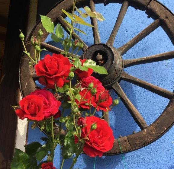 פנסיון Bobi Guest House