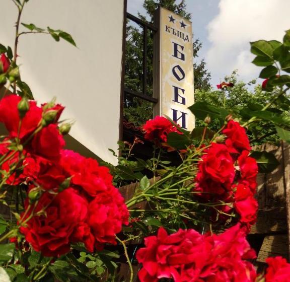 פנסיון Bobi Guest House