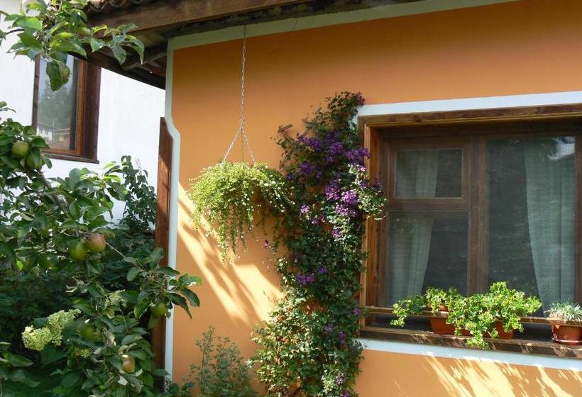 פנסיון Bobi Guest House