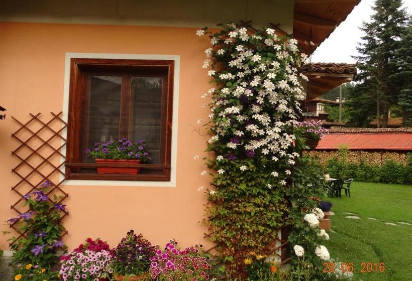 פנסיון Bobi Guest House