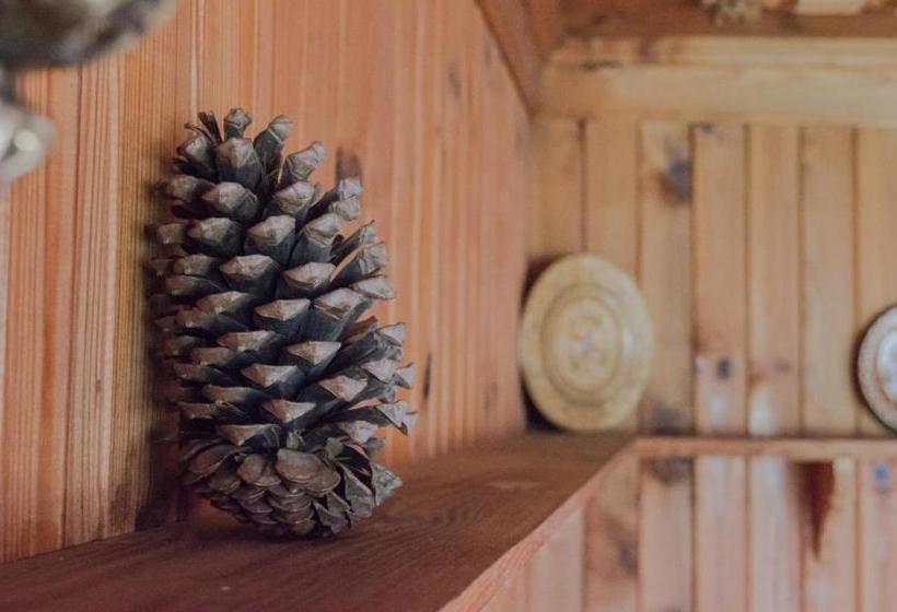 פנסיון Bobi Guest House