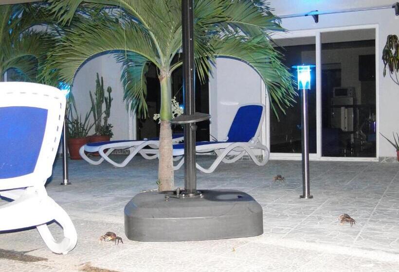 پانسیون Casa Loft