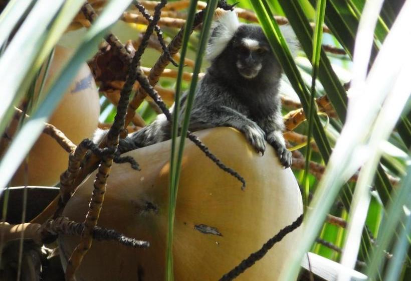 膳宿费 Ecolodge Batel Alagoas