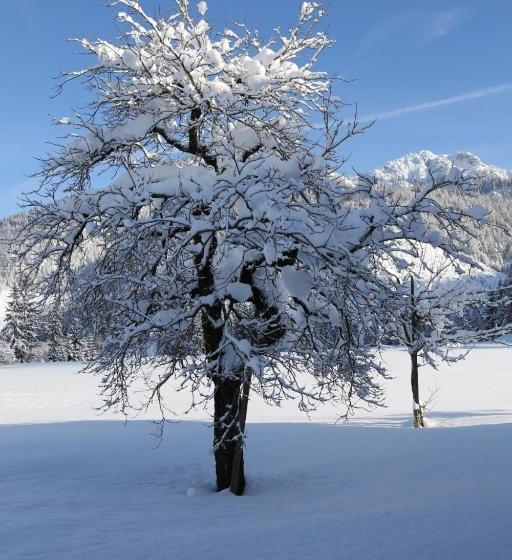 펜션 Ferienwohnungen Vordergriess