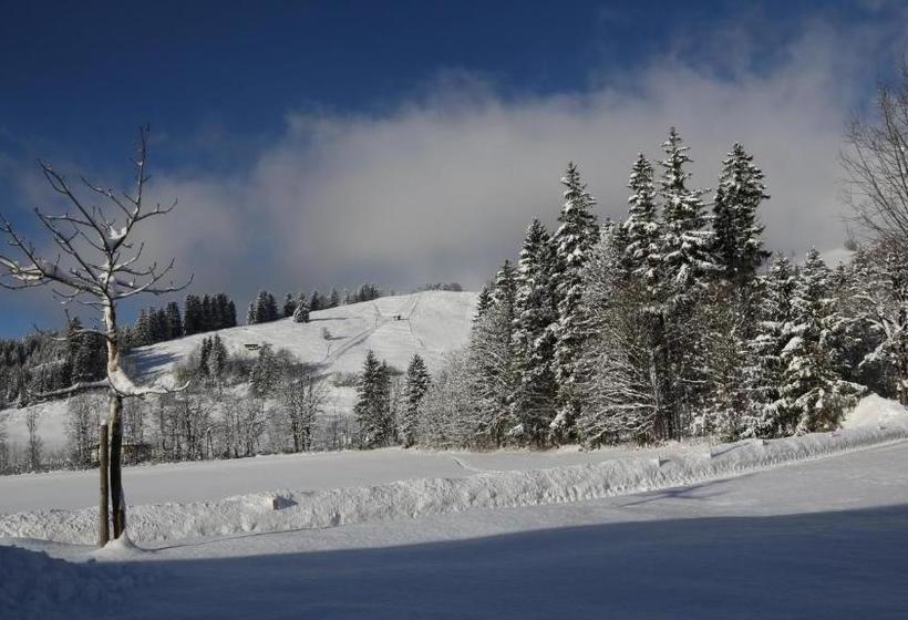 펜션 Ferienwohnungen Vordergriess