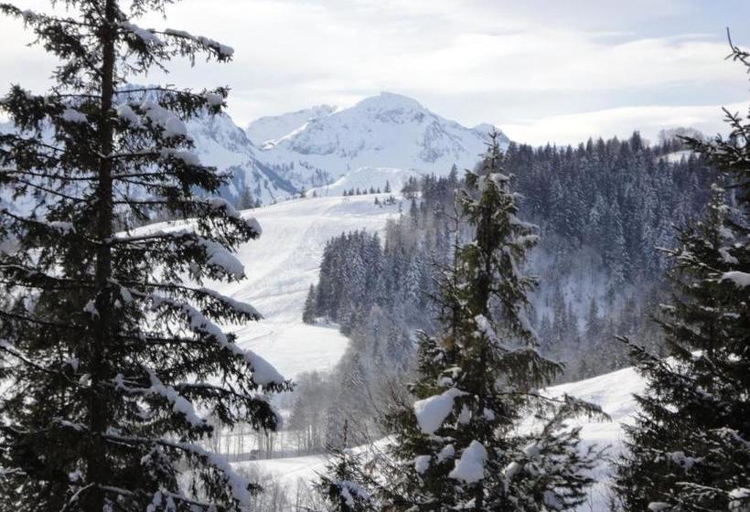 펜션 Ferienwohnungen Vordergriess