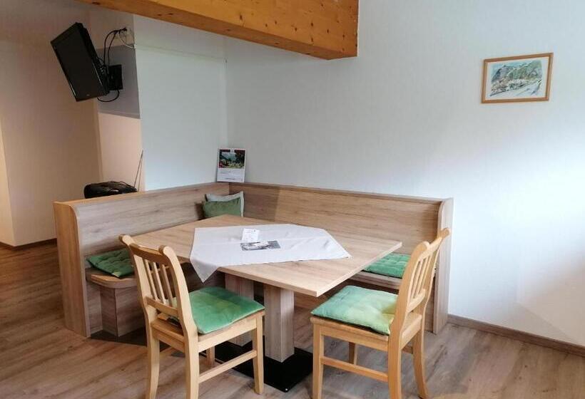 펜션 Ferienwohnungen Vordergriess